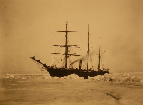 Seal Steamer (SS) Proteus that delivered men and supplies to set up Fort Conger (From US Archives)