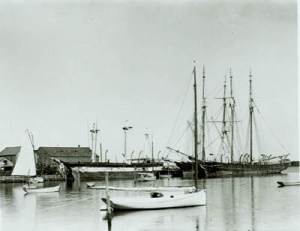 Abandoned whale ships in Edgartown Harbor, Martha's Vineyard. From the Photography of Richard Shute, http://www.mvmuseum.org/onlineexhibits.php 