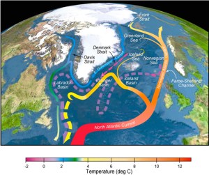North-Atlantic Drift Current turning into the Norwegian Current that brigs warm Atlantic waters into the Arctic Ocean to the north of Norway and Spitsbergen. [Credits: Ruther Curry of WHOI and Cecilie Mauritzen of Norwegian] Meteorological Institute]
