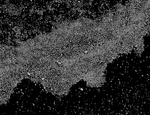 Individual ice particles as seen on the north-east Greenland shelf from LandSat 15-m resolution from Aug.-21, 2014 near 77.5N and 10 W.
