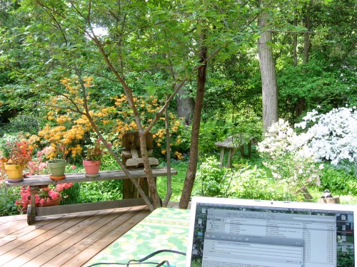 Working at in the garden at home preparing for field work.