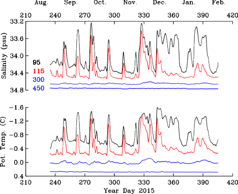 Time series of salinity (top) and potential temperature (bottom) from four ocean sensors deployed under the ice shelf of Petermann Gletscher from 20th of August 2015 through 11th of February 2016. Temperature and salinity scales are inverted to emphasize the vertical arrangements of sensors deployed at 95m (black), 115 (red), 300 m, and 450 m (blue) below sea level. Note the large fortnightly oscillations under the ice shelf at 95 and 115 m depth in the first half of the record. [From Muenchow et al., 2016] 